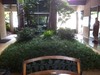 hotel-landscaping